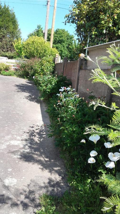 " Autour De La Baie " Villa Pleine-Fougeres Ngoại thất bức ảnh